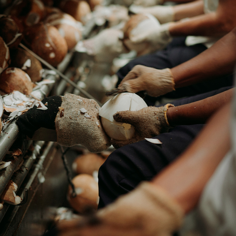 Our manufacturing partners use as many parts of the coconut as possible, from turning the husks into plant mulch to generating renewable energy from the shells.